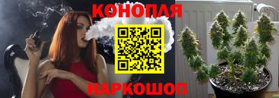 PSILOCYBIN Гусев