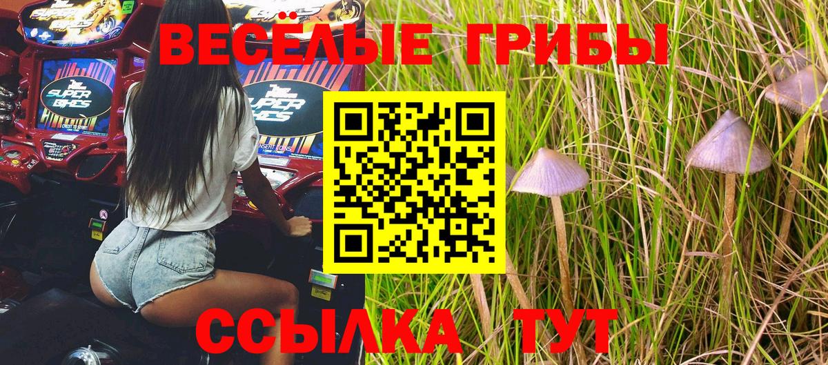 Галлюциногенные грибы Psilocybine cubensis  Галлюциногенные грибы прущие грибы  Михайловск  Вход с VPN 